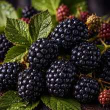 Blackberry
